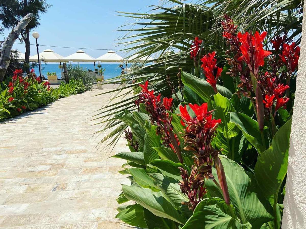 Apartments Kuce Lekovica Beach & Snack Bar- Bistro Εξωτερικό φωτογραφία