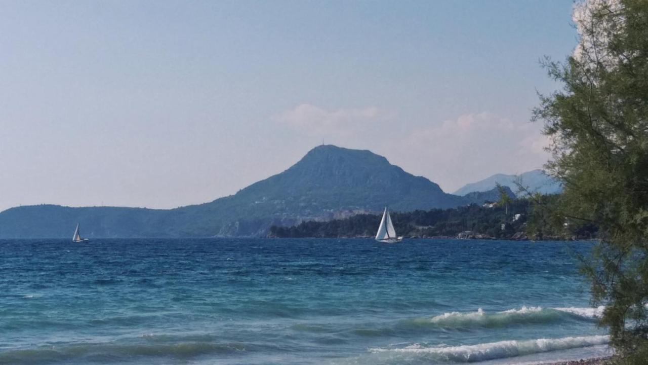 Apartments Kuce Lekovica Beach & Snack Bar- Bistro Εξωτερικό φωτογραφία