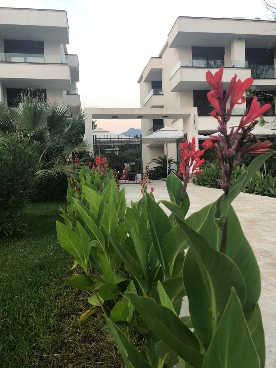 Apartments Kuce Lekovica Beach & Snack Bar- Bistro Εξωτερικό φωτογραφία